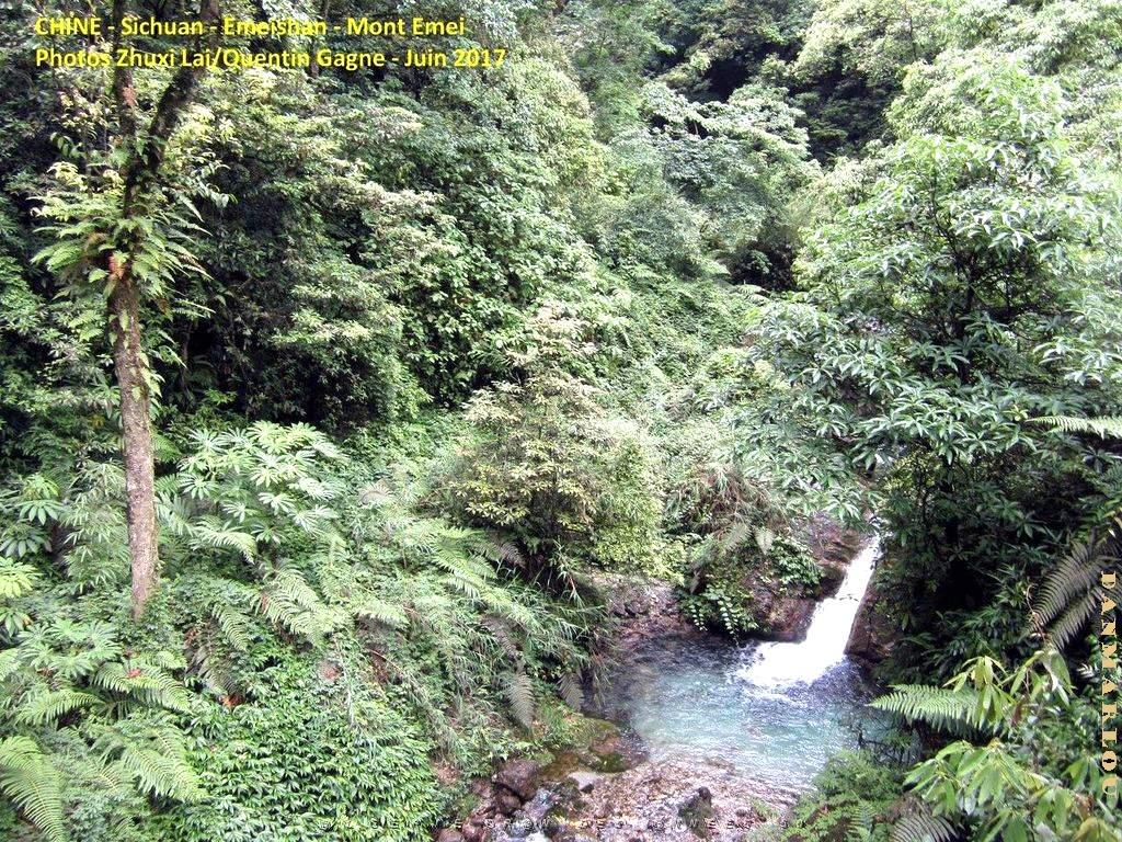Emeishan 138.JPG